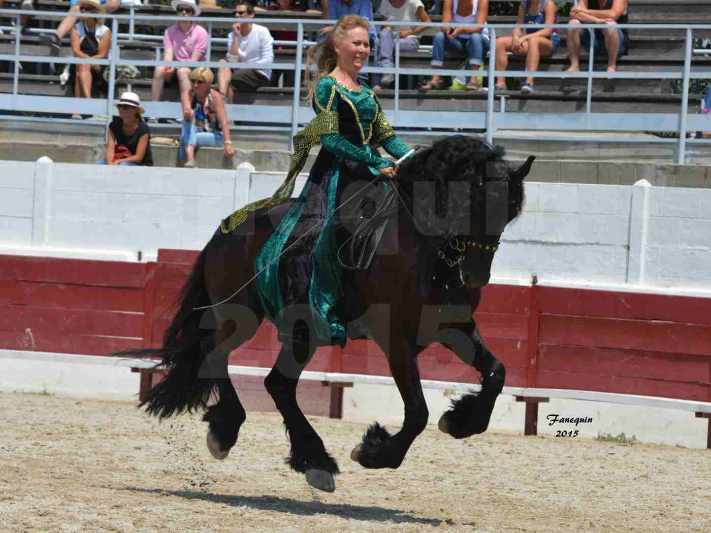 Féria du cheval à Méjanes en 2015 - Sylvie WILLMS - 10