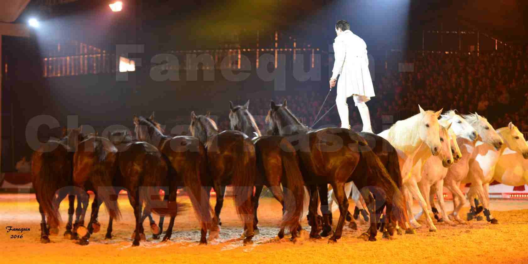 Cheval Passion 2016 - Spectacle les Crinières d'OR - LORENZO "Blanc" - représentation du 23 janvier 2016 - 27