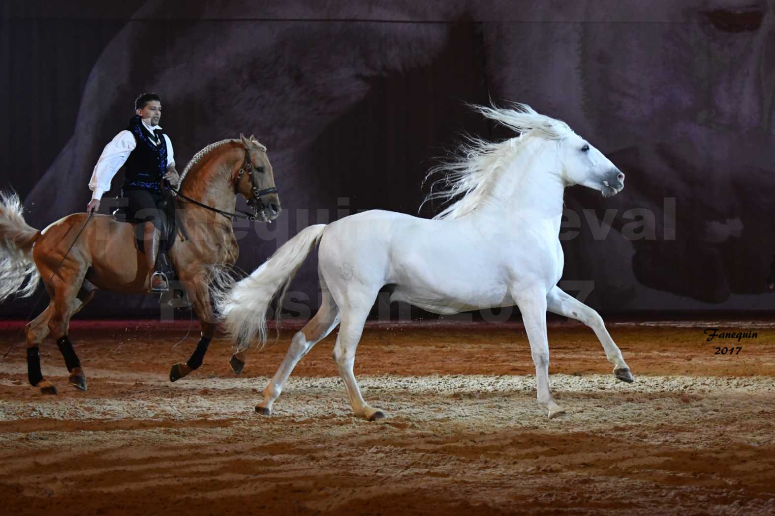 Cheval Passion 2017 - gala des Crinières d'OR - GARI ZOHER - 17