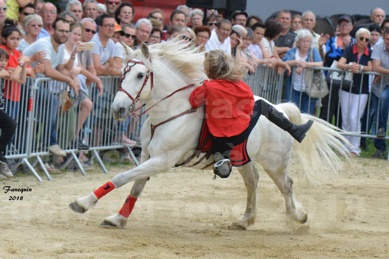 Spectacle Équestre le 3 juin 2018 à Saint Gély du Fesc - Voltige équestre - Troupe de Jean Antoine FIRMIN - 74