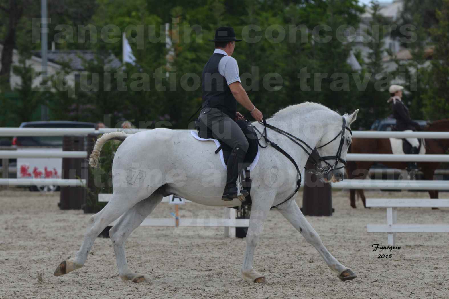 Salon Equitaine de Bordeaux 2015 - Concours d'Equitation de Travail avec chevaux Ibériques - Y - 3