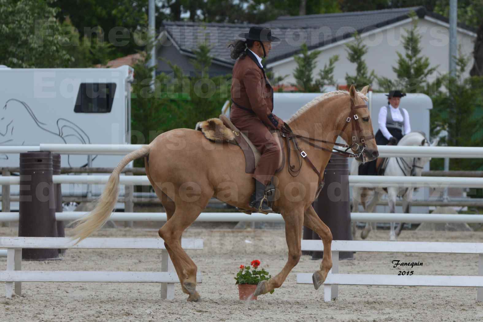 Salon Equitaine de Bordeaux 2015 - Concours d'Equitation de Travail avec chevaux Ibériques - T - 6