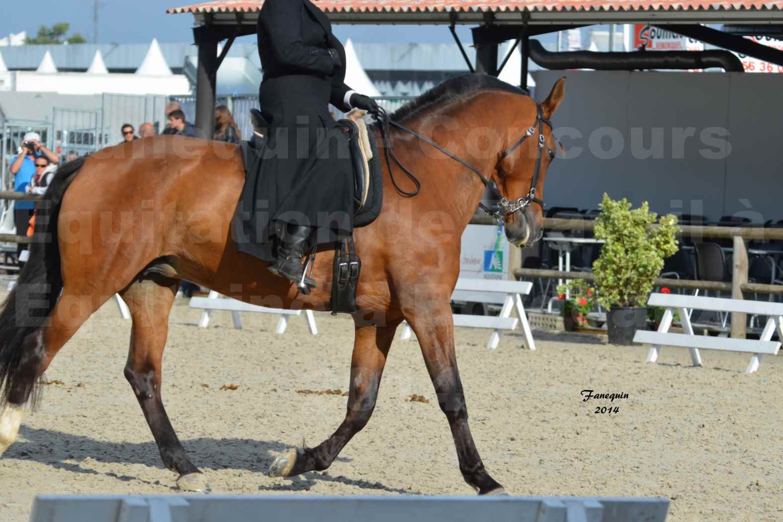 Salon Equitaine de Bordeaux en 2014 - concours Equitation de travail - Épreuve de Dressage - 07