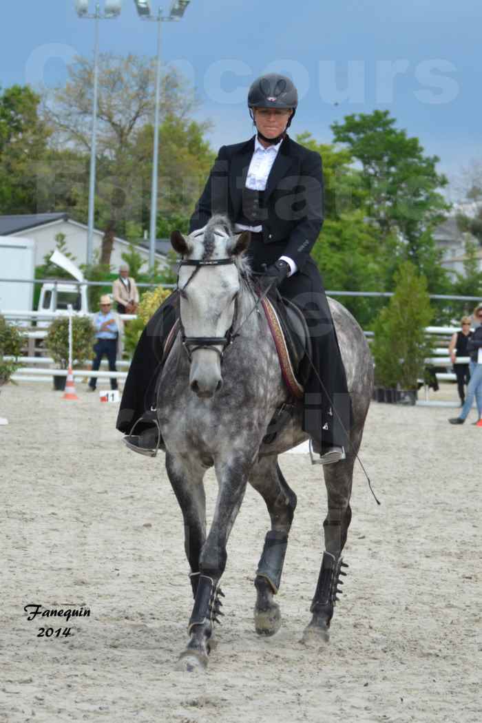 Salon Equitaine de Bordeaux en 2014 - concours Equitation de travail - Épreuve de Maniabilité chronométré - C - 4