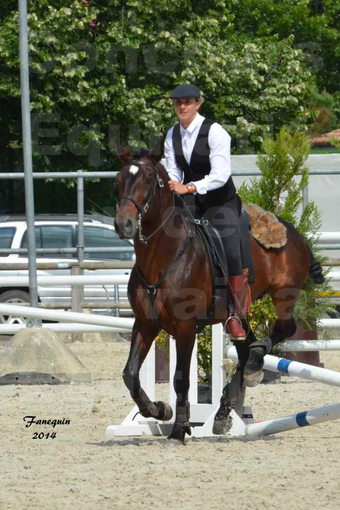 Salon Equitaine de Bordeaux en 2014 - concours Equitation de travail - Épreuve de Maniabilité chronométré - E - 09