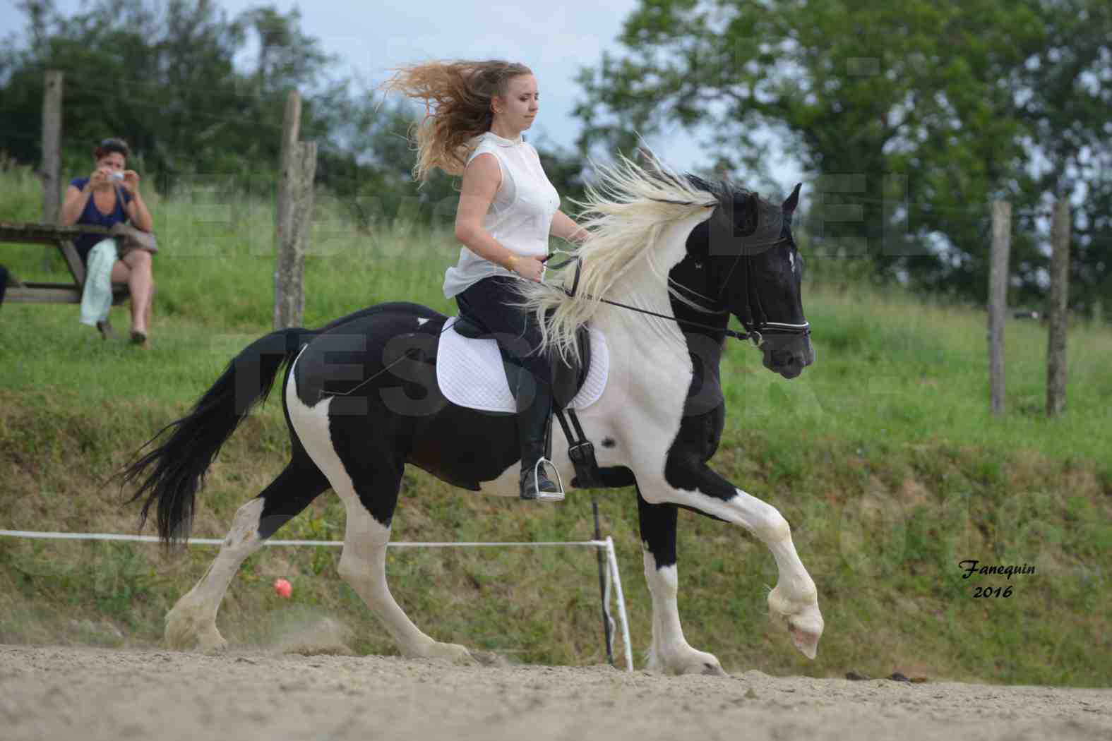 Spectacle de chevaux PRE chez Frédérique VIGNE - 29
