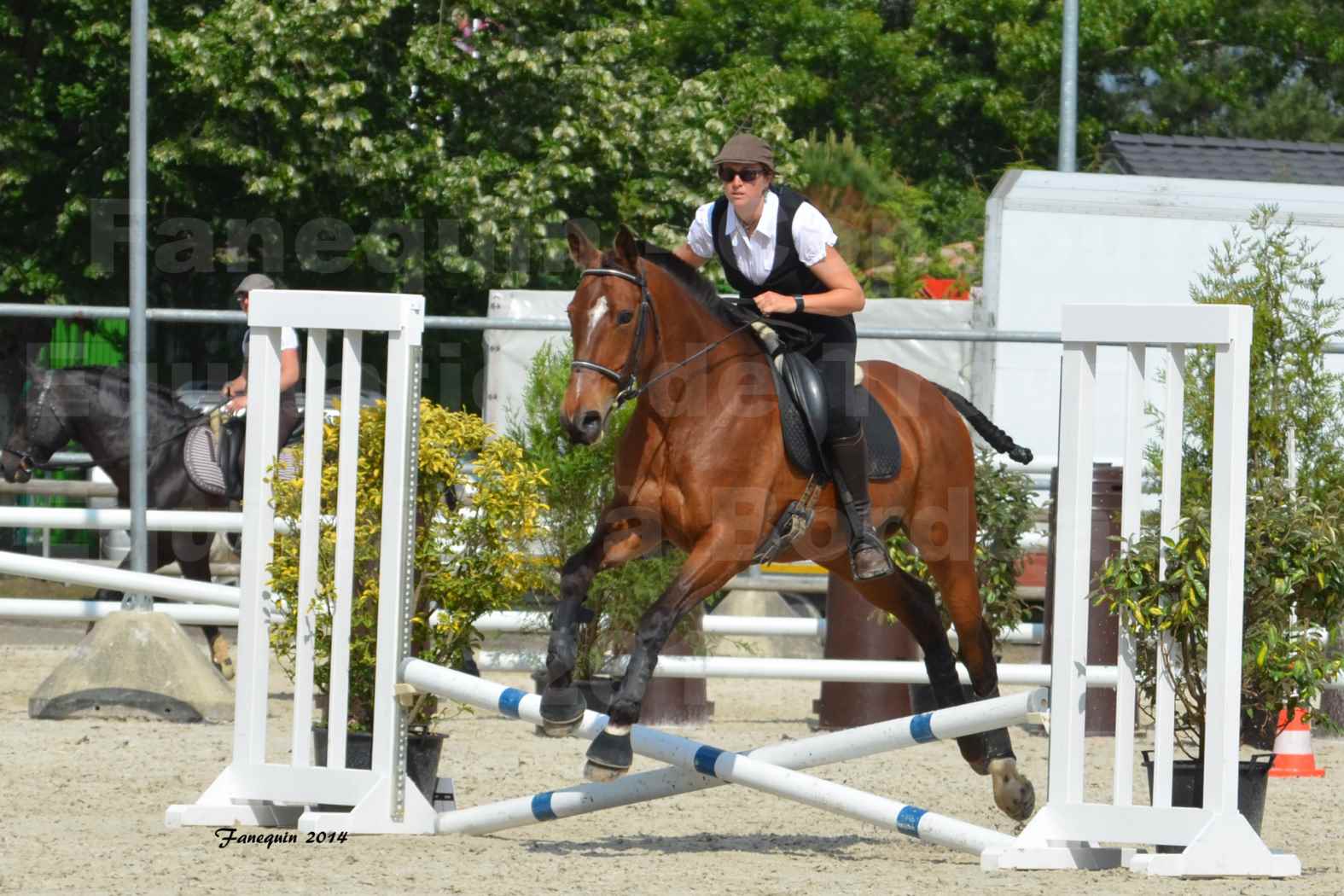 Salon Equitaine de Bordeaux en 2014 - concours Equitation de travail - Épreuve de Maniabilité chronométré - K - 3
