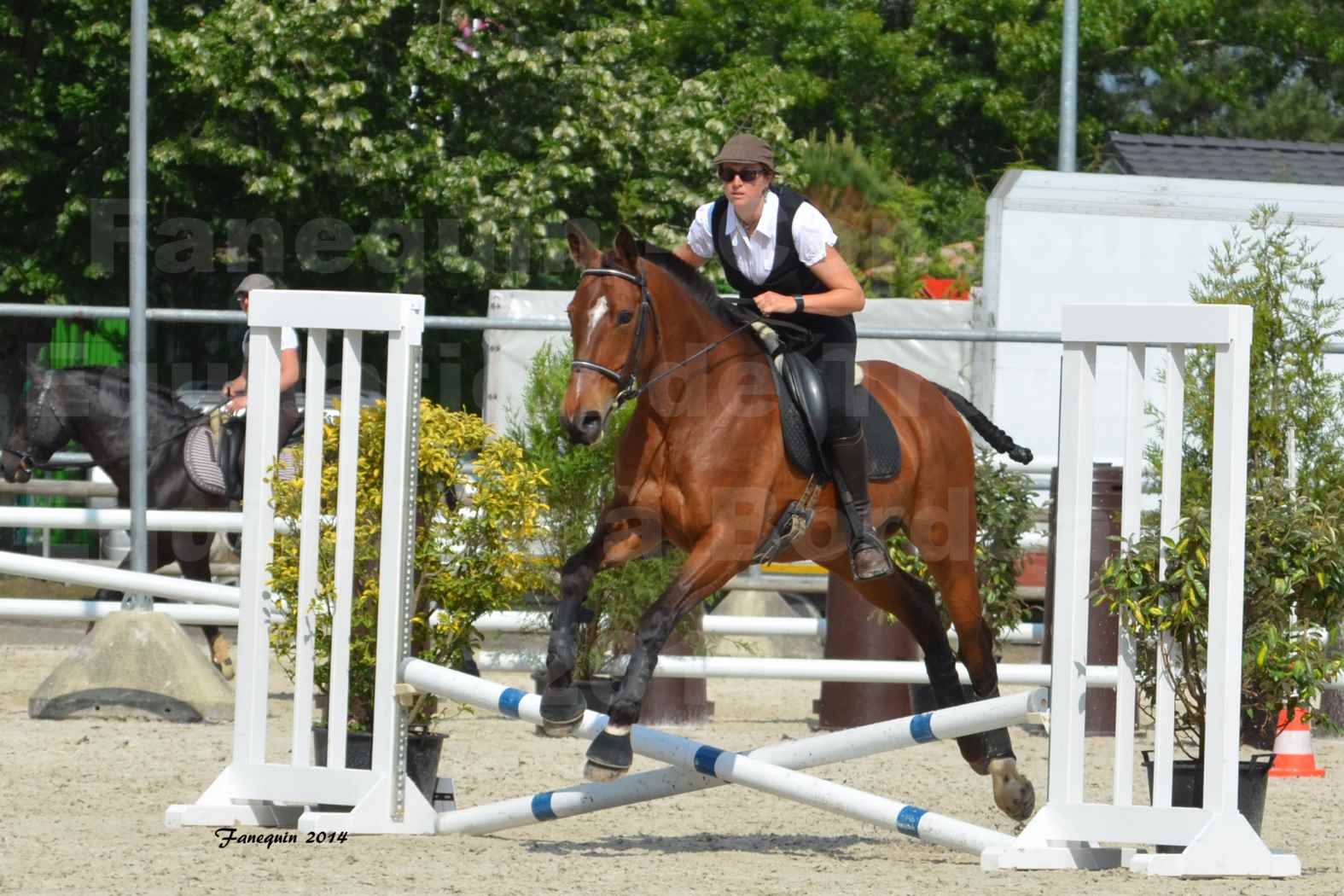 Salon Equitaine de Bordeaux en 2014 - concours Equitation de travail - Épreuve de Maniabilité chronométré - K - 3