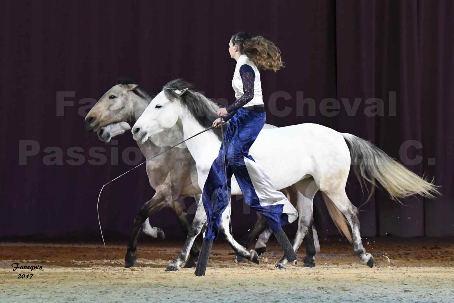 Cheval Passion 2017 - M. I. S. E. C. - Lucie VAUTHIER & 3 chevaux en liberté - 13