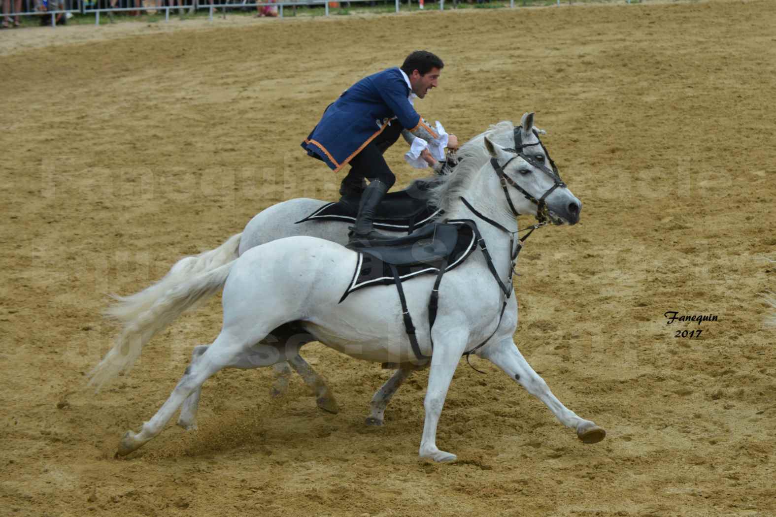 numéro de Poste HONGROISE avec 8 chevaux - Compagnie IMPULSION - Salon Pêche Chasse Nature à Saint Gély du Fesc juin 2017 - 23