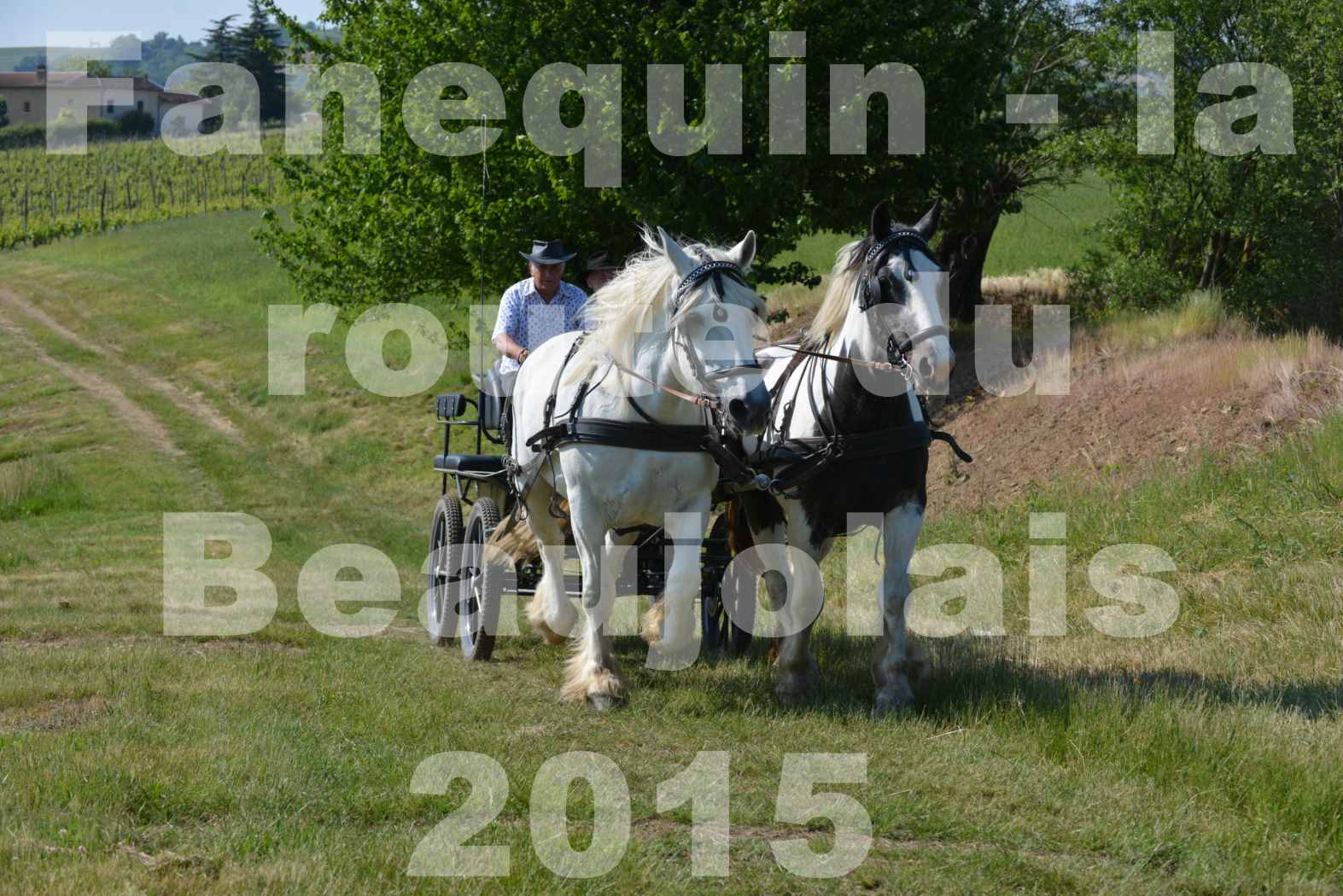 La Route Du Beaujolais 2015 - dimanche 24 mai 2015 - parcours en matinée - 30