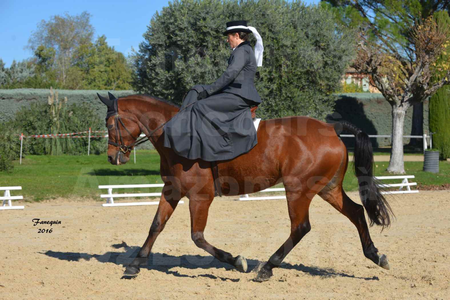 Concours Élégance d'Amazone au Haras d'UZES en Octobre 2016 - Véronique BOURGEON - 05