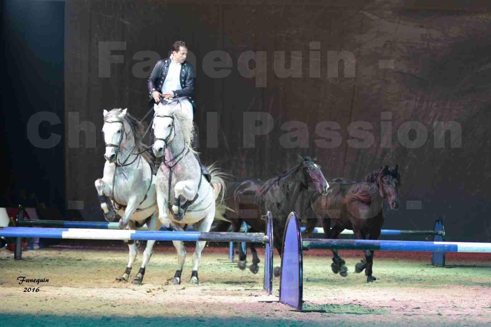 Cheval Passion 2016 - Spectacle les Crinières d'OR - LORENZO "Noir" - représentation du 23 janvier 2016 - 24