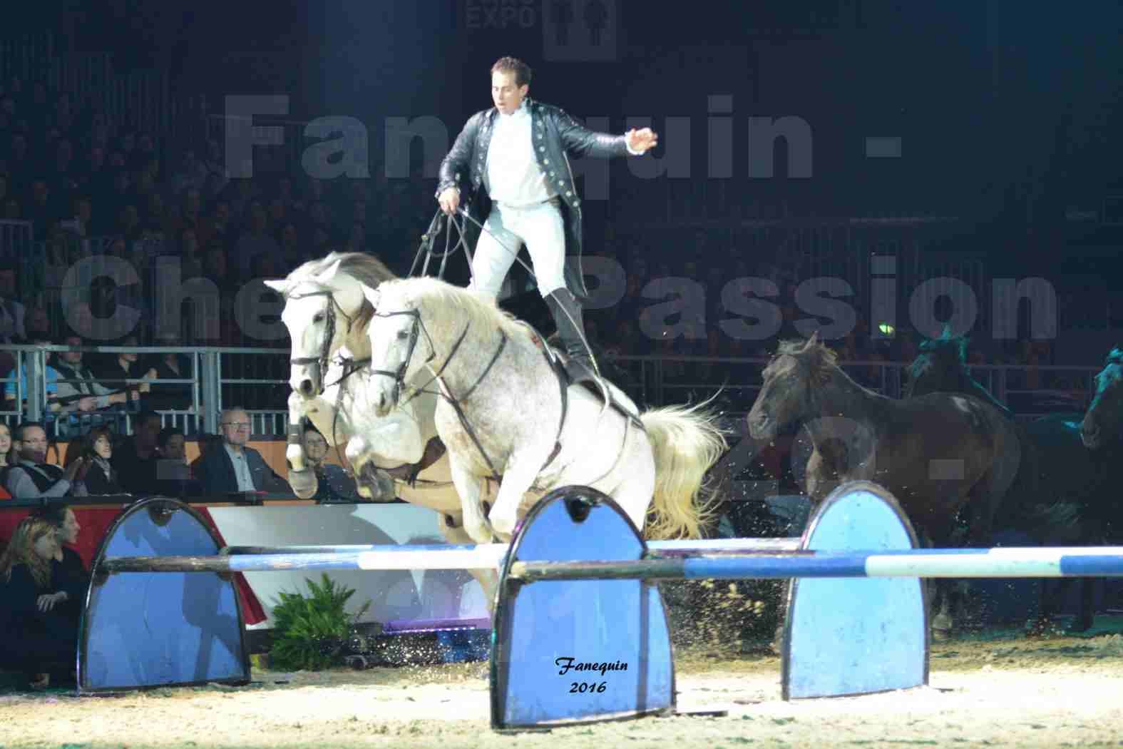 Cheval Passion 2016 - Spectacle les Crinières d'OR - LORENZO "Noir" - représentation du 20 janvier 2016 - 21