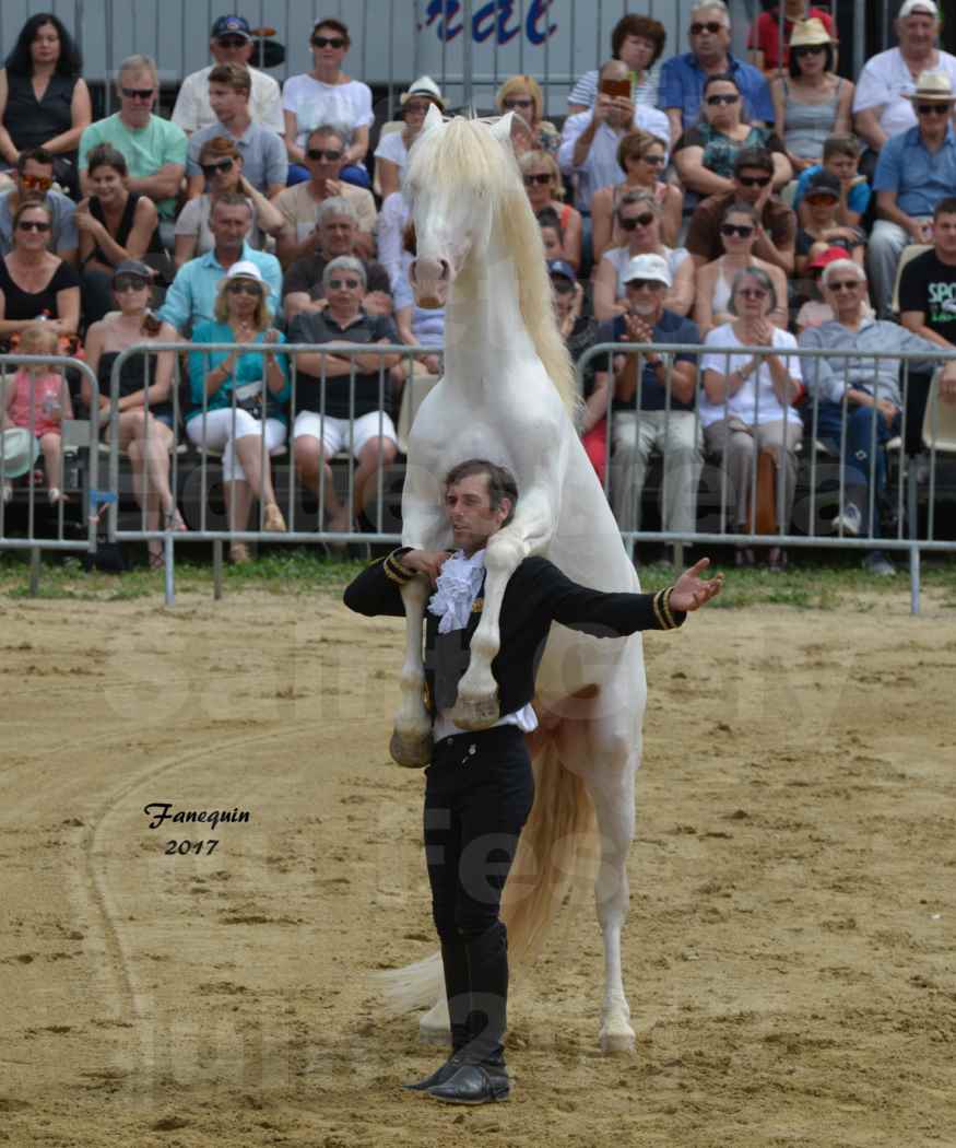 Spectacle Équestre - Salon Pêche Chasse Nature à Saint Gely du Fesc - 