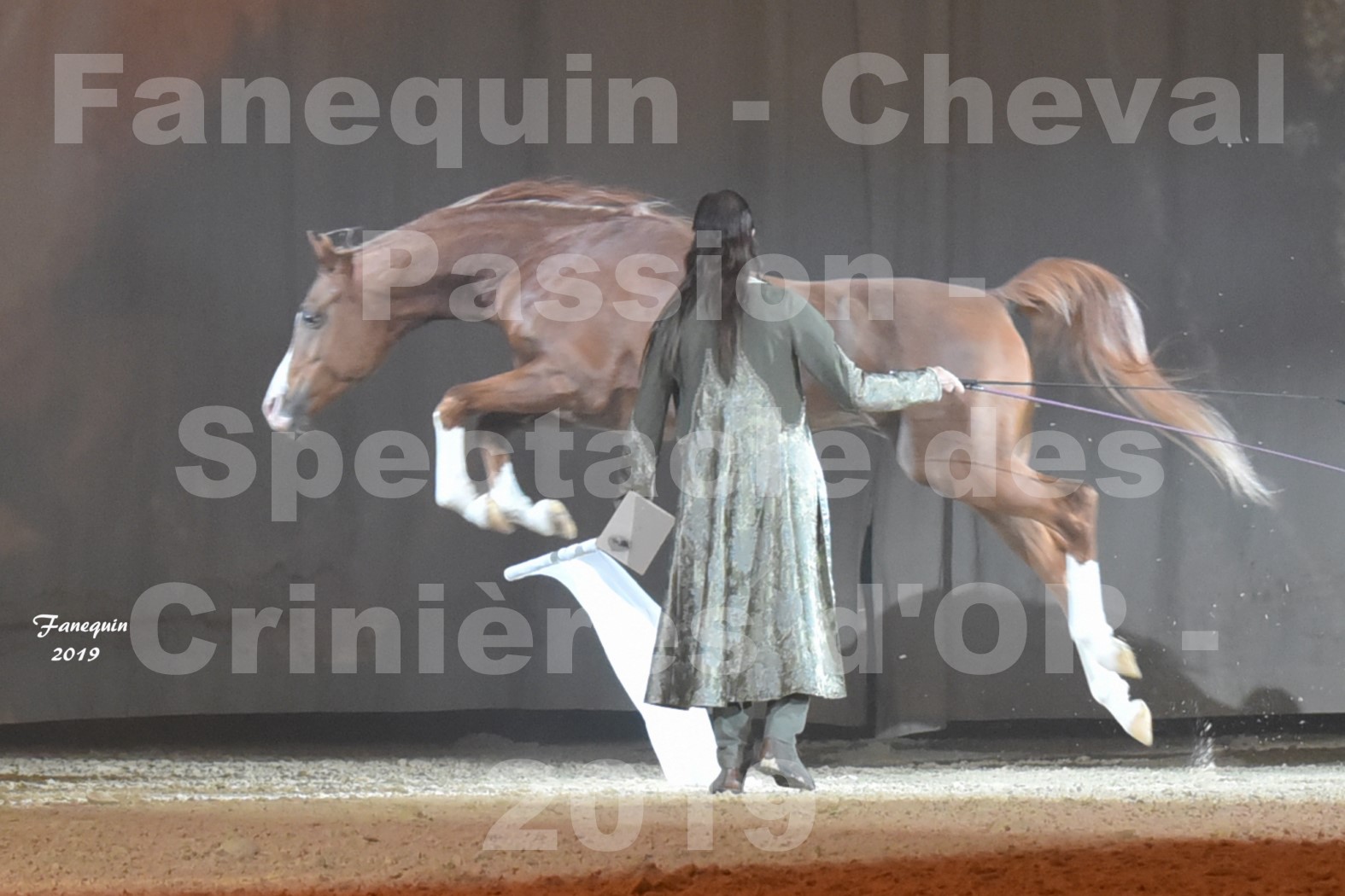 Cheval Passion 2019 - Spectacle des CRINIÈRES d'OR - Frédéric PIGNON & Cheval Alezan en liberté - 04