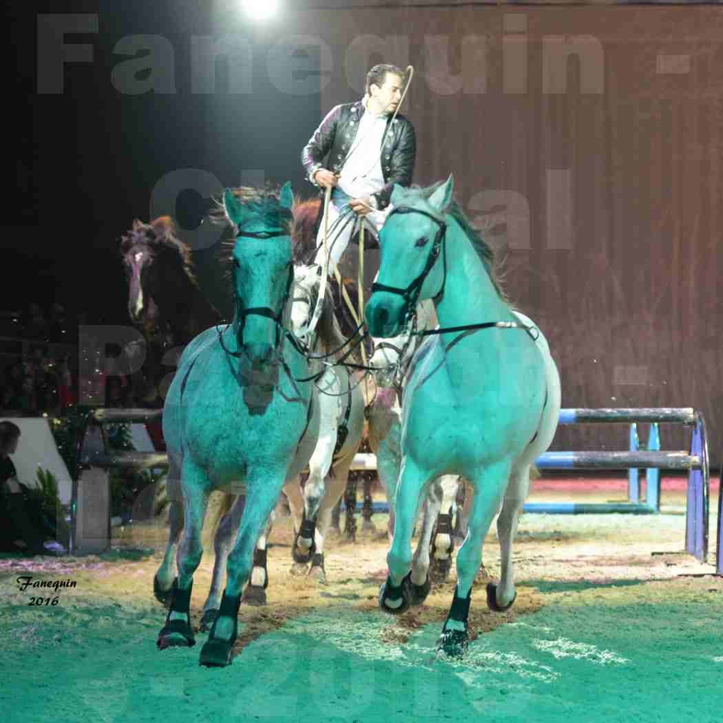 Cheval Passion 2016 - Spectacle les Crinières d'OR - LORENZO "Noir" - représentation du 23 janvier 2016 - 09