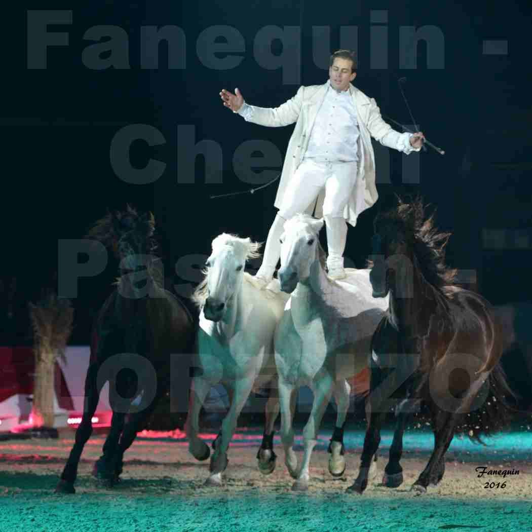 Cheval Passion 2016 - Spectacle les Crinières d'OR - LORENZO "Blanc" - représentation du 20 janvier 2016 - 15