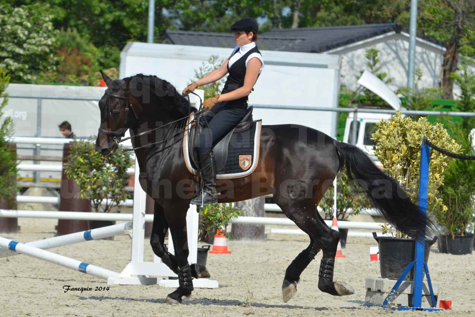 Salon Equitaine de Bordeaux en 2014 - concours Equitation de travail - Épreuve de Maniabilité chronométré - M - 10