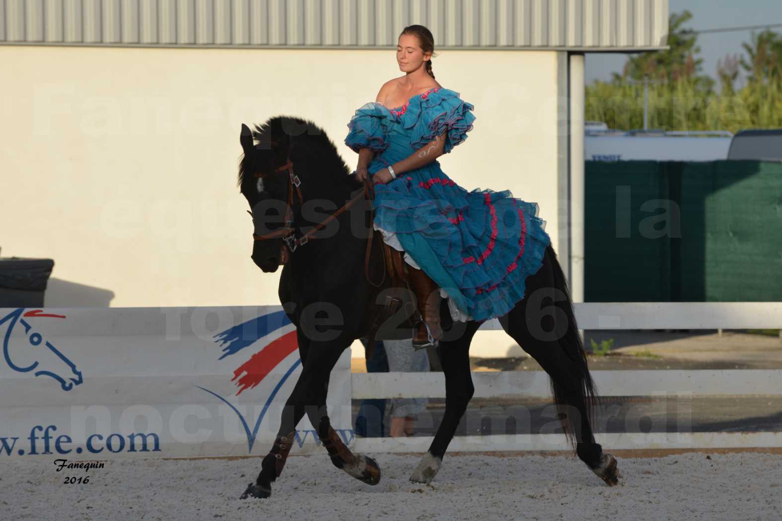 Centre équestre éphémère de la Foire de Montpellier 2016 - Mardi 11 Octobre 2016 - Spectacle Nocturne - 10