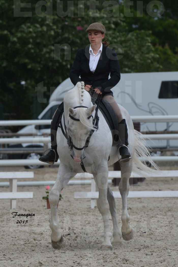 Salon Equitaine de Bordeaux 2015 - Concours d'Equitation de Travail avec chevaux Ibériques - D - 3
