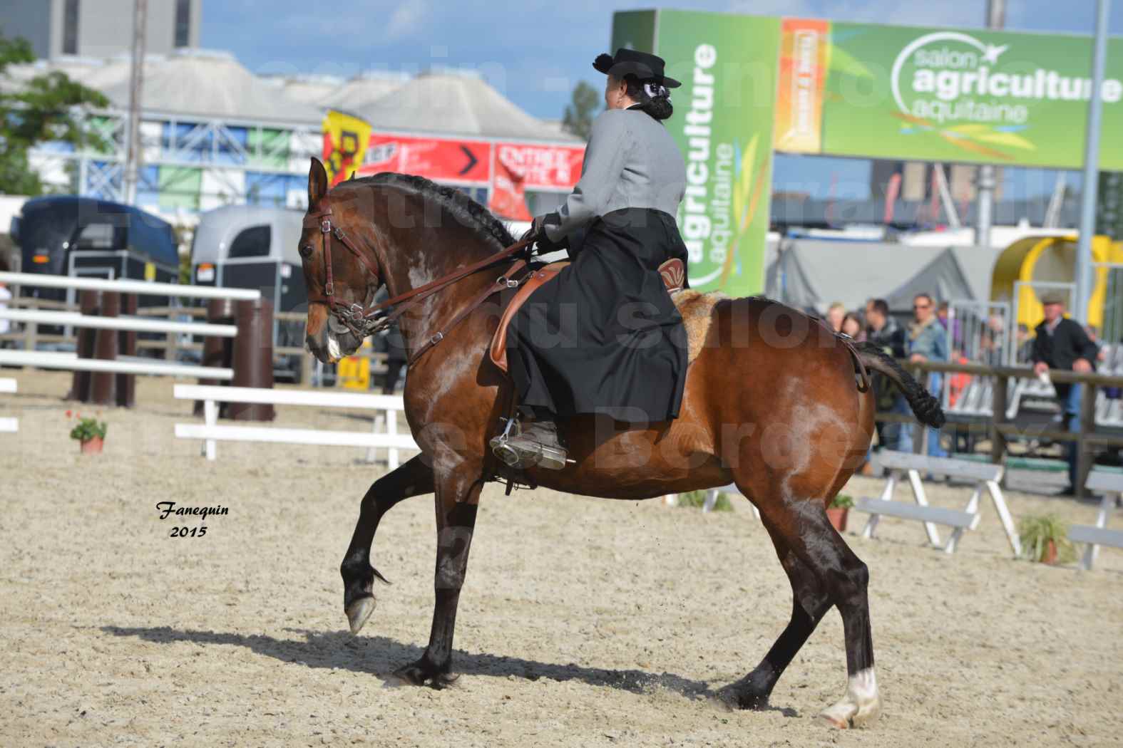 Salon Equitaine de Bordeaux 2015 - Concours d'Equitation de Travail avec chevaux Ibériques - C - 4