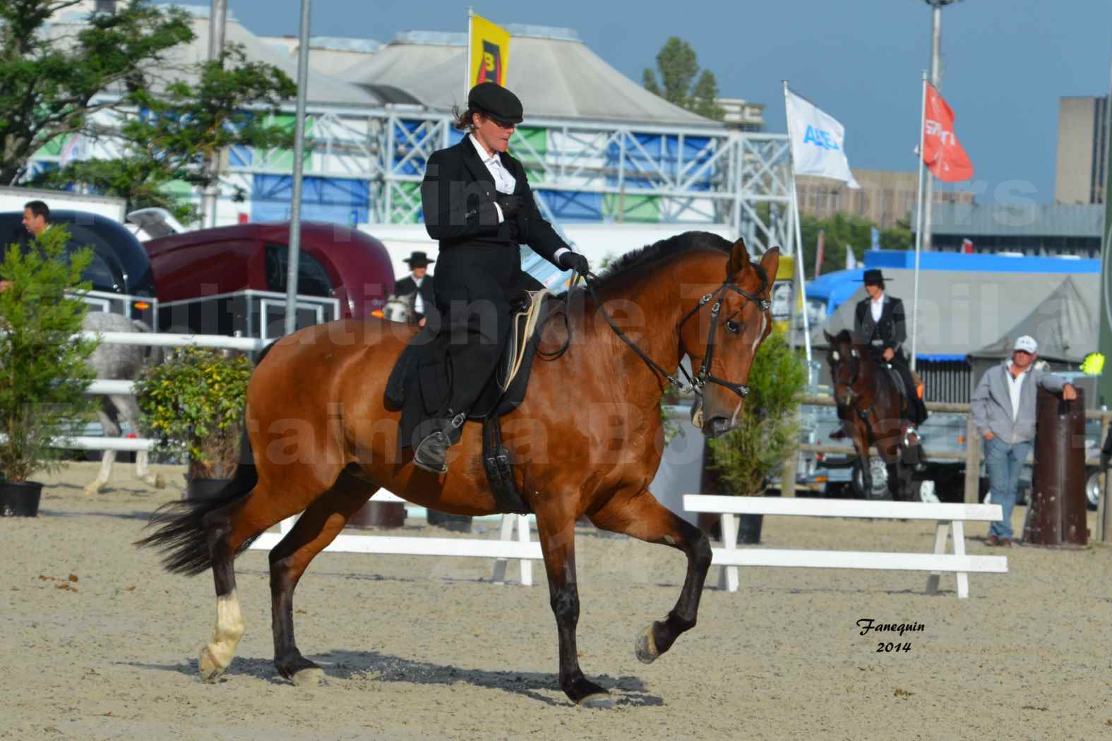 Salon Equitaine de Bordeaux en 2014 - concours Equitation de travail - Épreuve de Dressage - 10