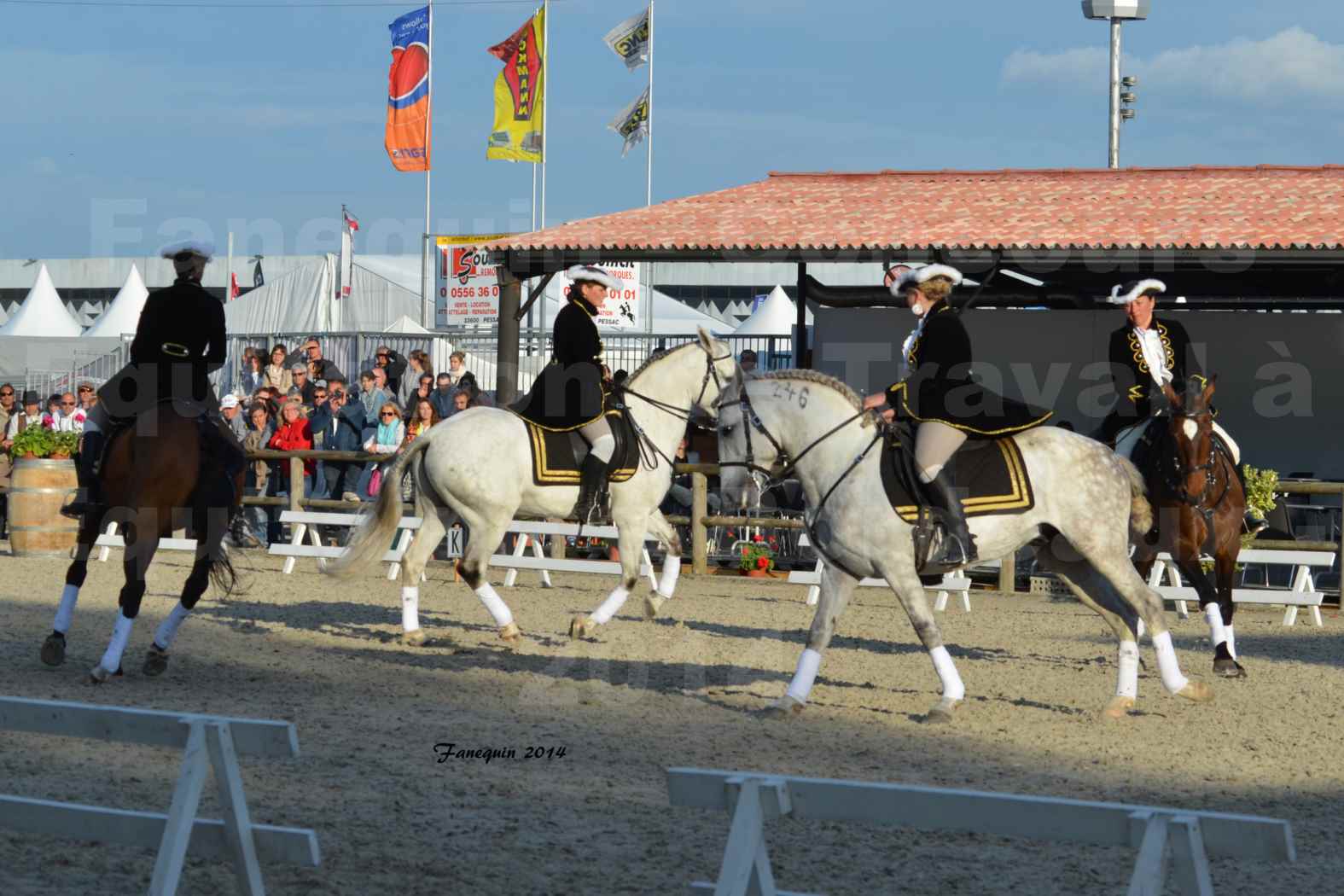 Carrousel de cavalières Equitation de travail lors du salon "Equitaine" à Bordeaux en 2014 - 51
