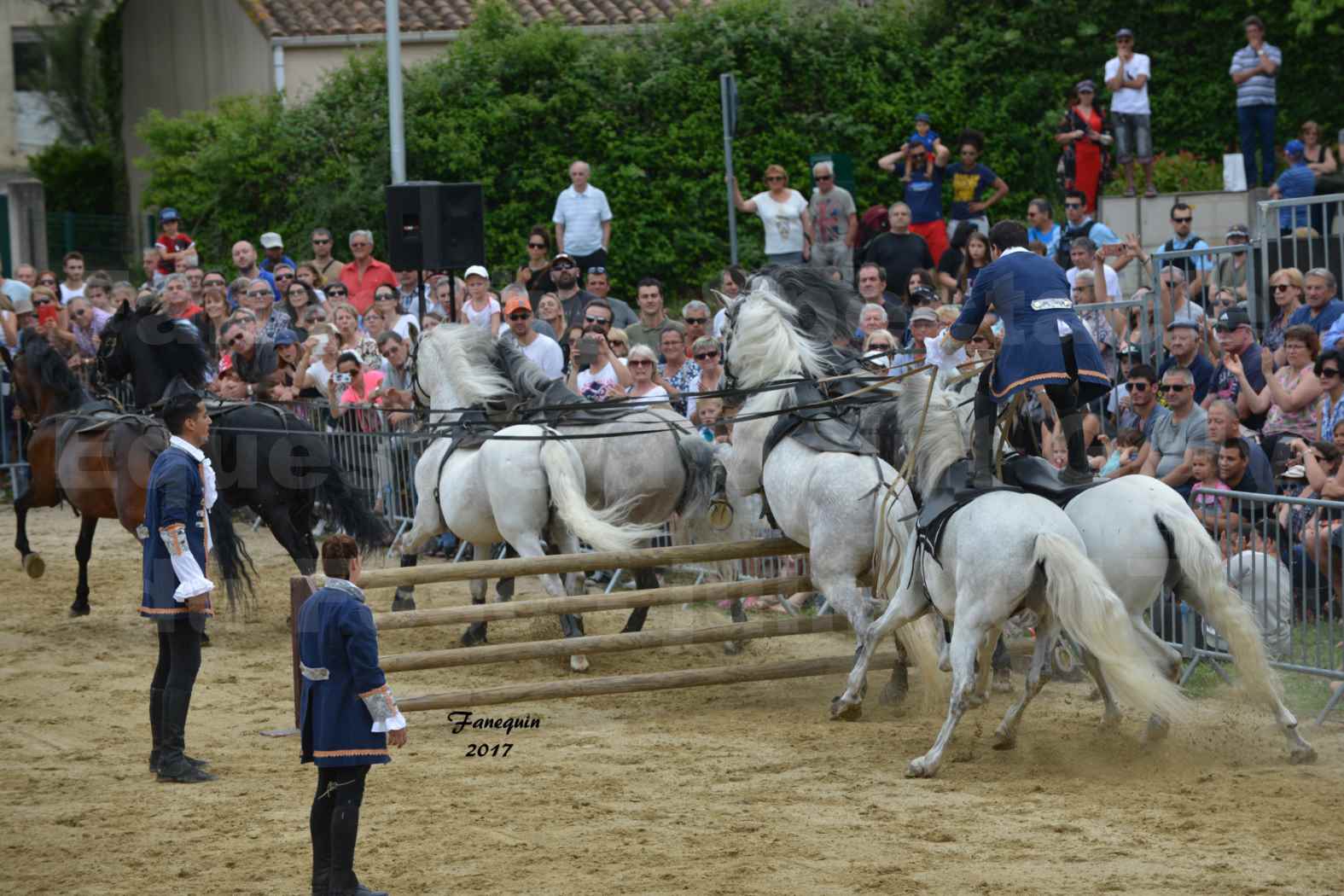 Spectacle Équestre - Salon Pêche Chasse Nature à Saint Gely du Fesc - Compagnie IMPULSION - Poste Hongroise - 2