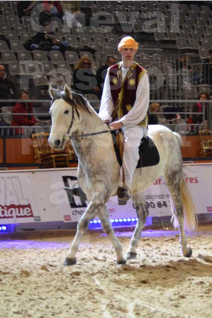 Cheval Passion 2014 - Chevaux BARBES - Notre Sélection - 07