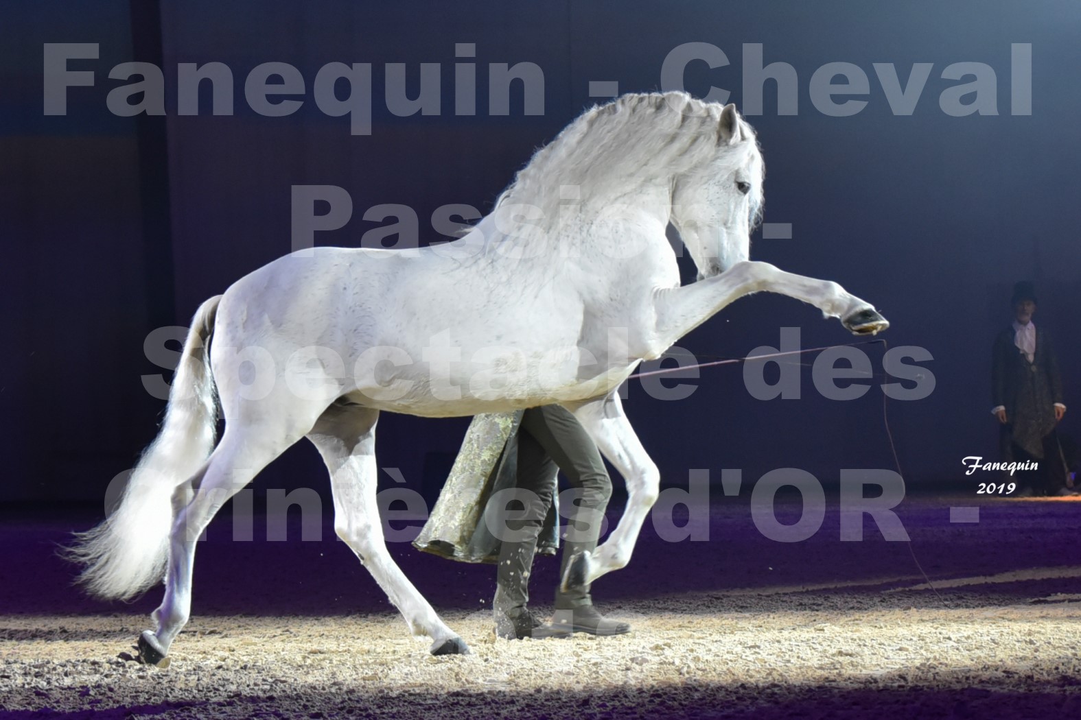 Cheval Passion 2019 - Spectacle des CRINIÈRES d'OR - Frédéric PIGNON & Cheval Gris en liberté - 3