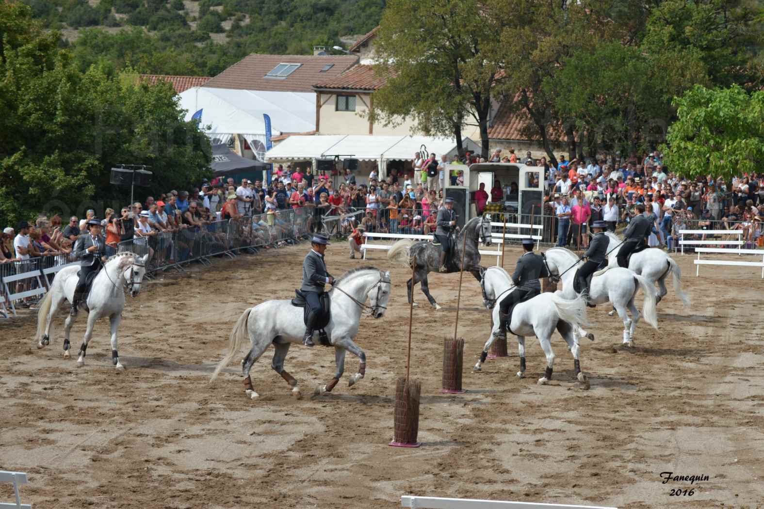 Spectacle équestre le 4 Septembre 2016 au Domaine de GAILLAC - Démonstration de CARROUSEL de chevaux LUSITANIENS - 14