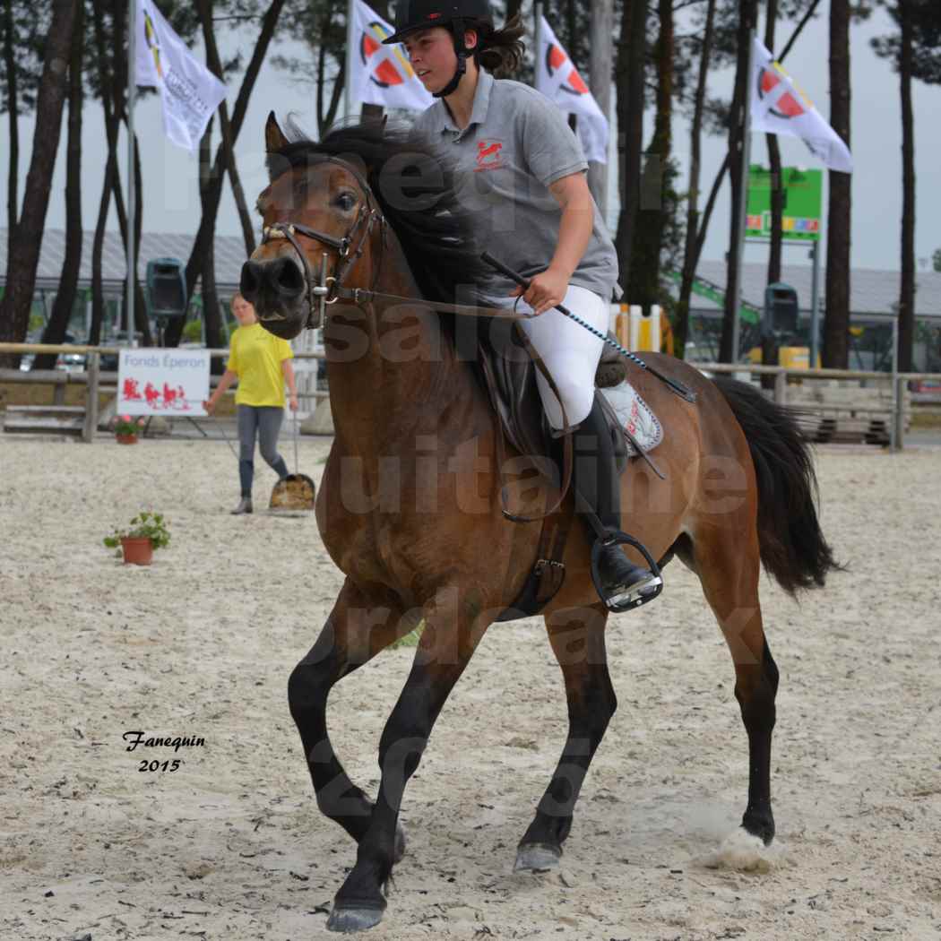 Salon Equitaine de Bordeaux 2015 - Concours de Poneys Landais reprises montés - 01