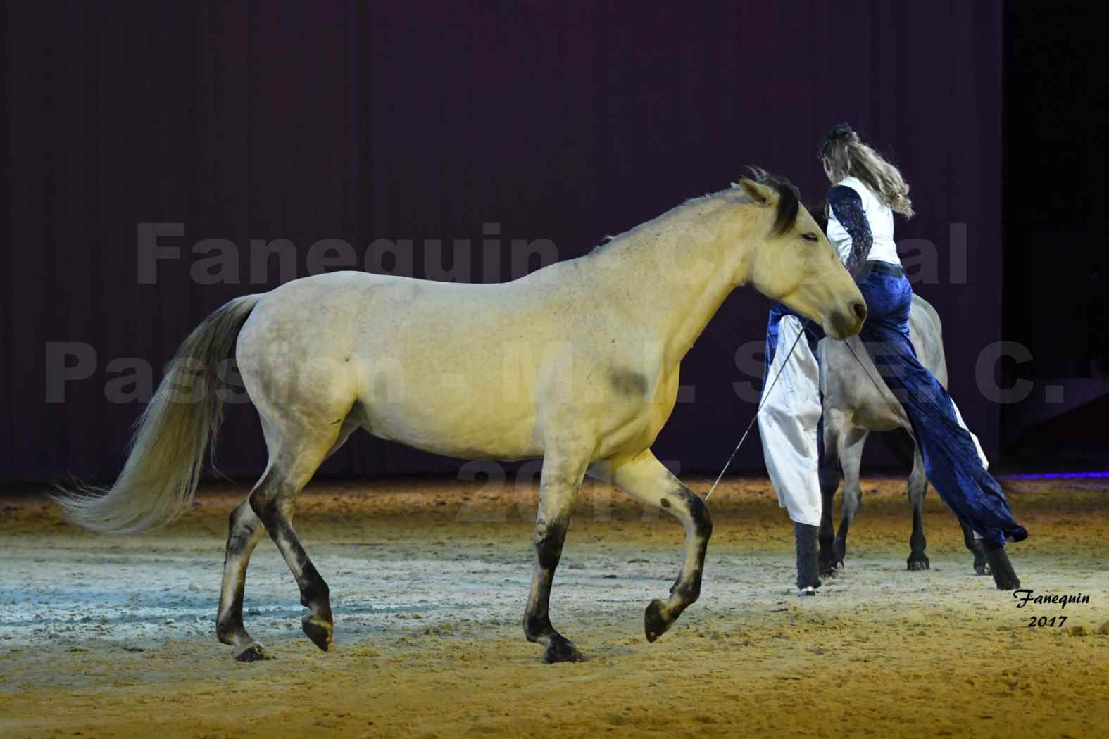 Cheval Passion 2017 - M. I. S. E. C. - Lucie VAUTHIER & 3 chevaux en liberté - 04