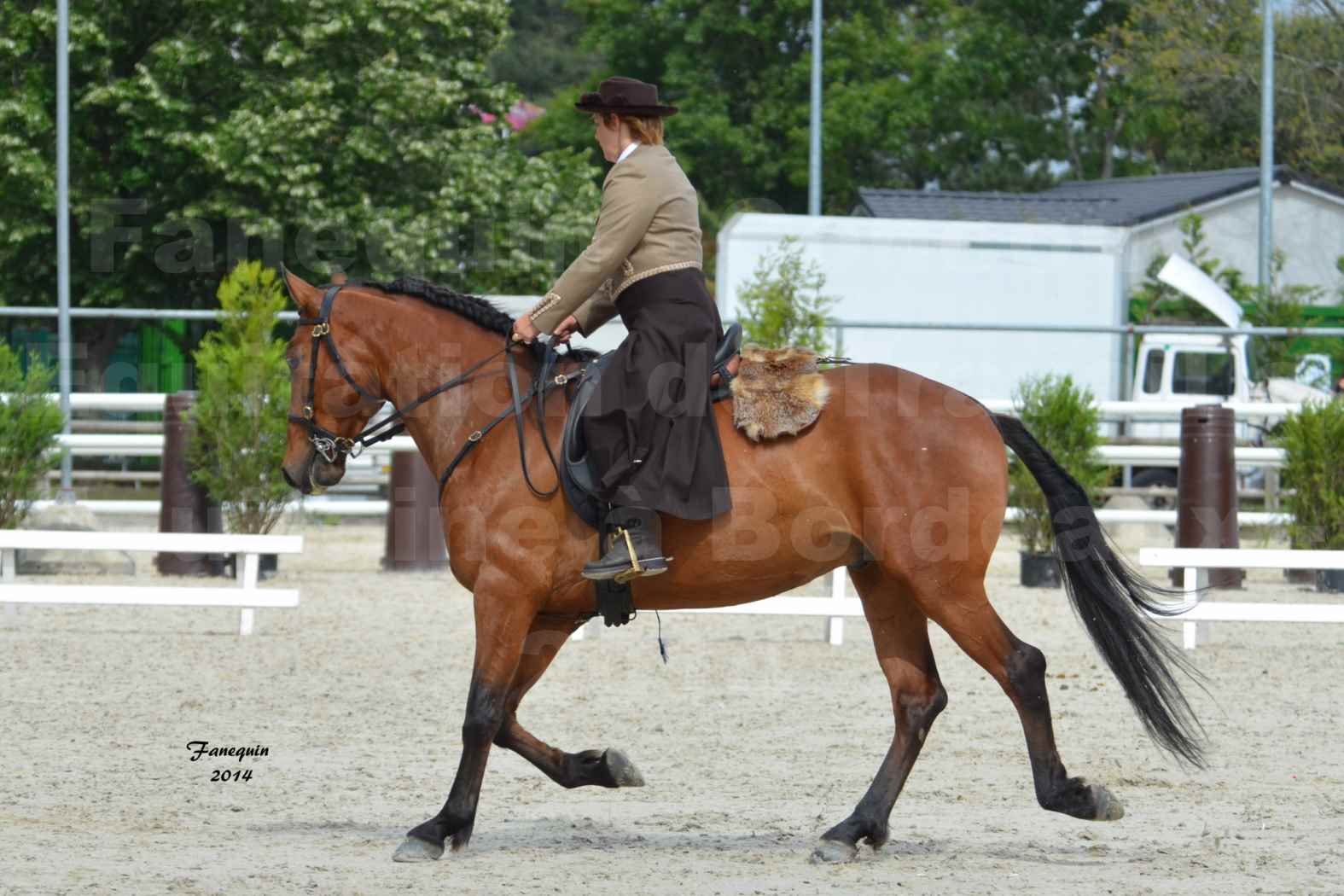 Salon Equitaine de Bordeaux en 2014 - concours Equitation de travail - Épreuve de Dressage - 2