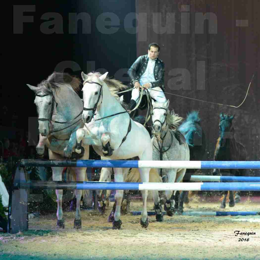 Cheval Passion 2016 - Spectacle les Crinières d'OR - LORENZO "Noir" - représentation du 23 janvier 2016 - 10