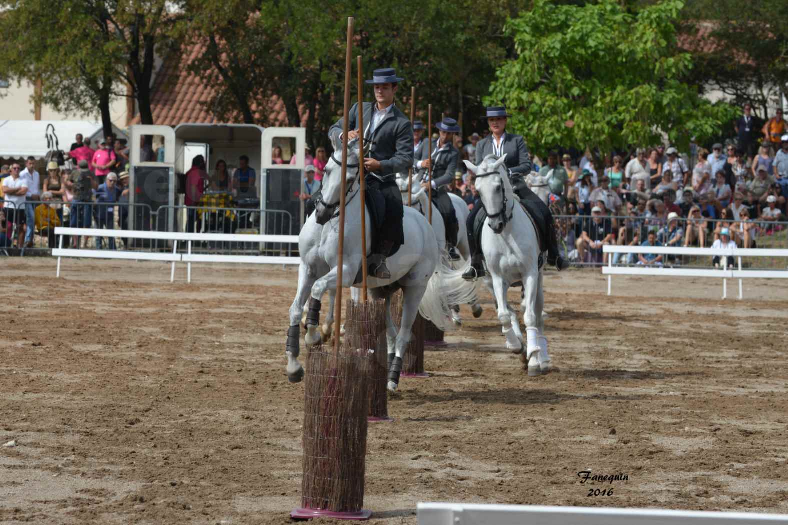 Spectacle équestre le 3 Septembre 2016 au Domaine de GAILLAC - Démonstration de CARROUSEL de chevaux LUSITANIENS - 07