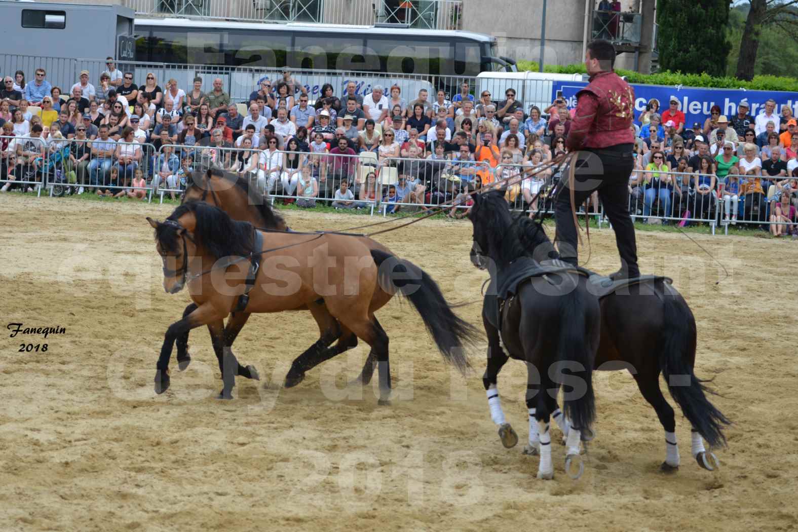 Spectacle Équestre le 3 juin 2018 à Saint Gély du Fesc - Poste Hongroise de 2 à 6 chevaux - Benoît SOUMILLE - 6