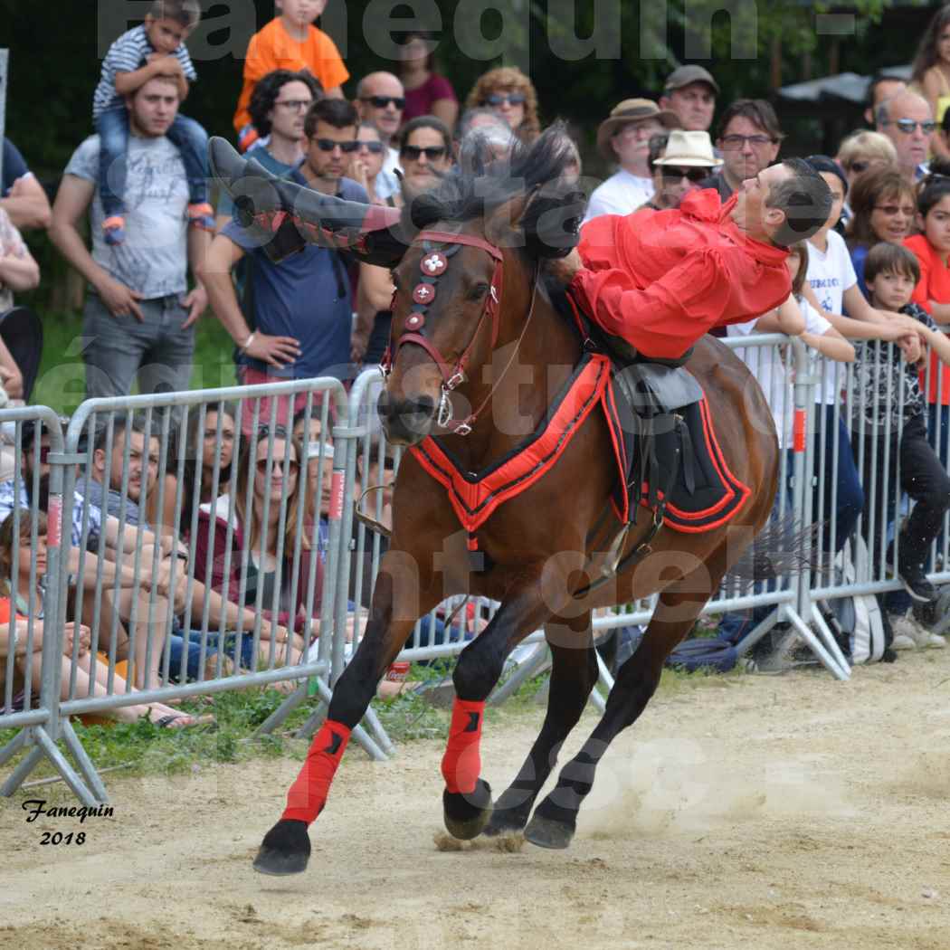 Spectacle Équestre le 3 juin 2018 à Saint Gély du Fesc - Voltige équestre - Troupe de Jean Antoine FIRMIN - 15