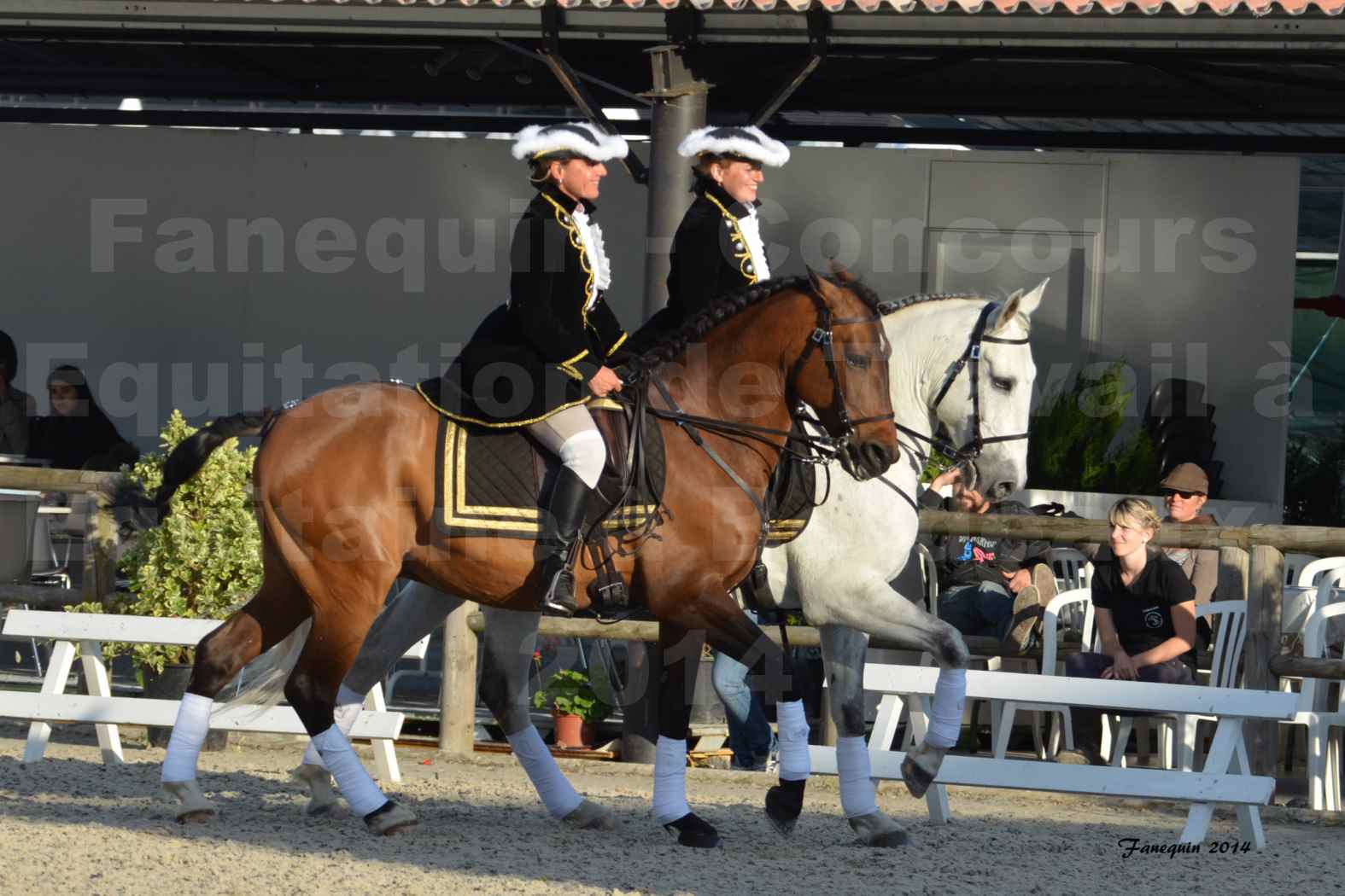 Carrousel de cavalières Equitation de travail lors du salon "Equitaine" à Bordeaux en 2014 - 46
