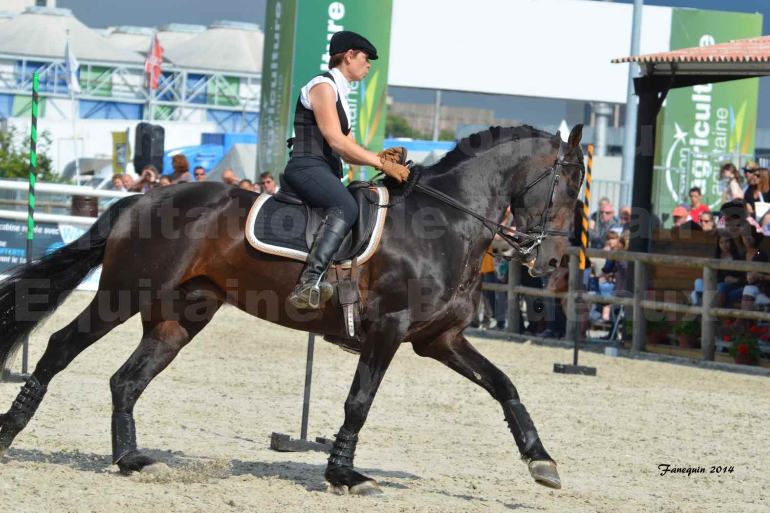 Salon Equitaine de Bordeaux en 2014 - concours Equitation de travail - Épreuve de Maniabilité chronométré - M - 01