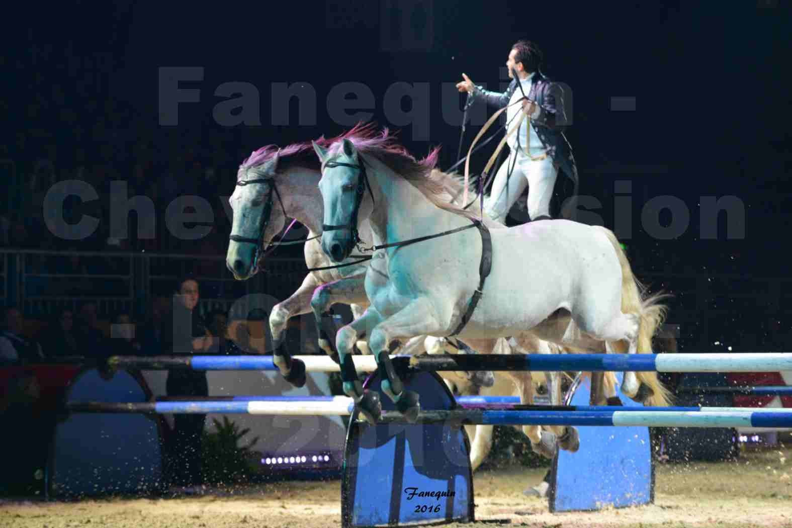 Cheval Passion 2016 - Spectacle les Crinières d'OR - LORENZO "Noir" - représentation du 20 janvier 2016 - 17