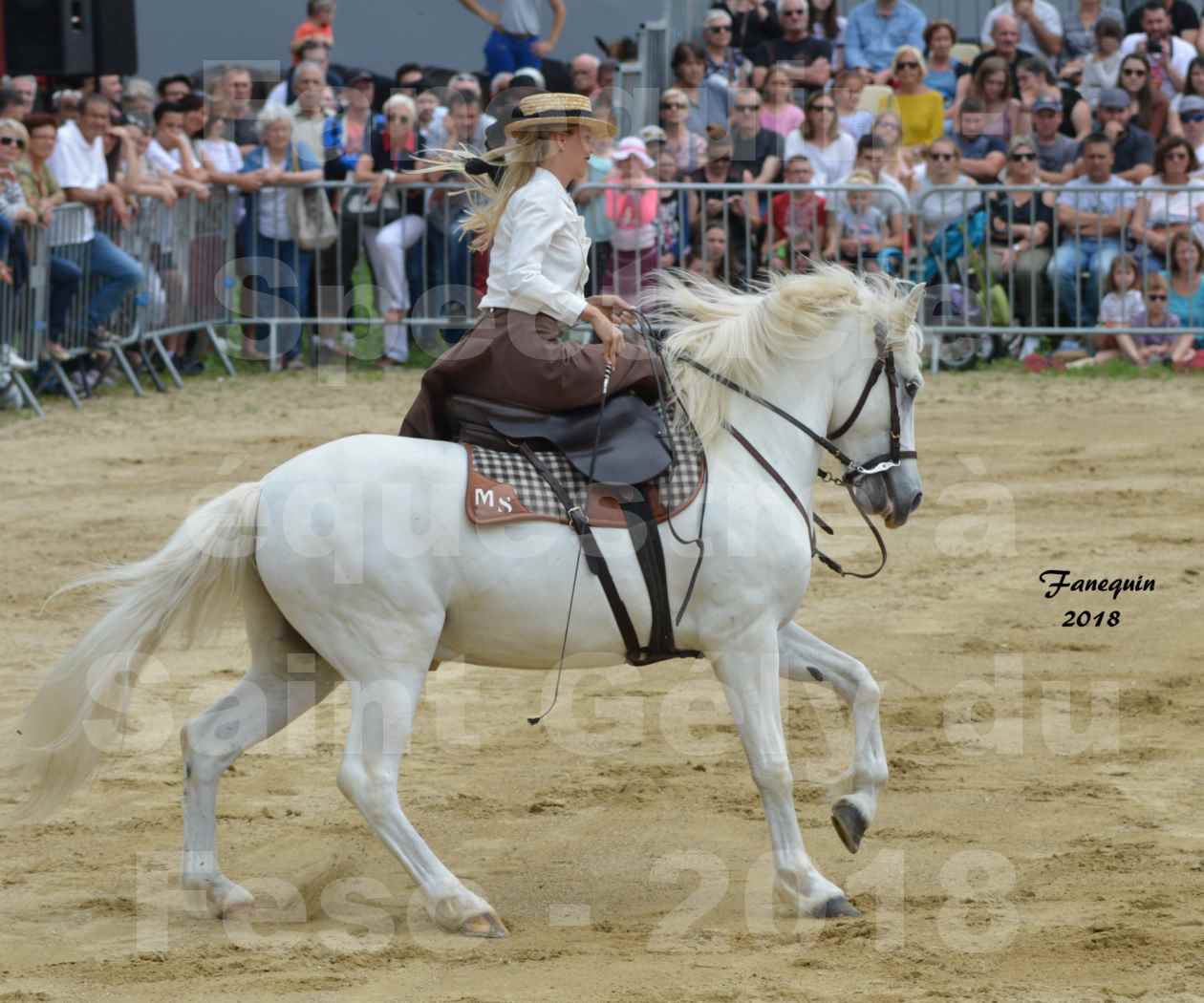 Spectacle Équestre le 3 juin 2018 à Saint Gély du Fesc - Amazones de Benoît SOUMILLE - 01