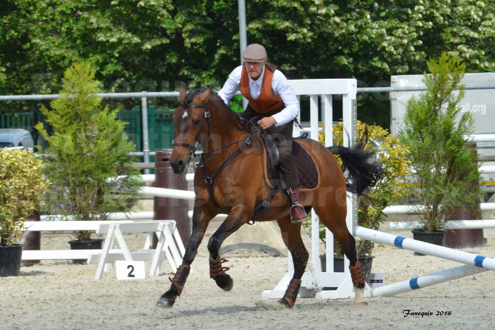 Salon Equitaine de Bordeaux en 2014 - concours Equitation de travail - Épreuve de Maniabilité chronométré - N - 08