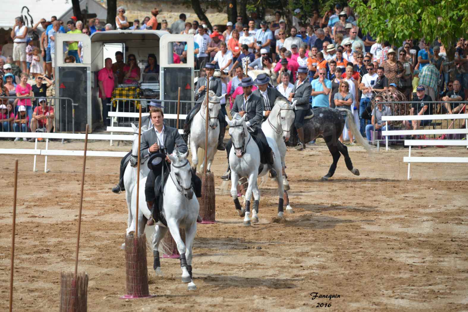 Spectacle équestre le 4 Septembre 2016 au Domaine de GAILLAC - Démonstration de CARROUSEL de chevaux LUSITANIENS - 16
