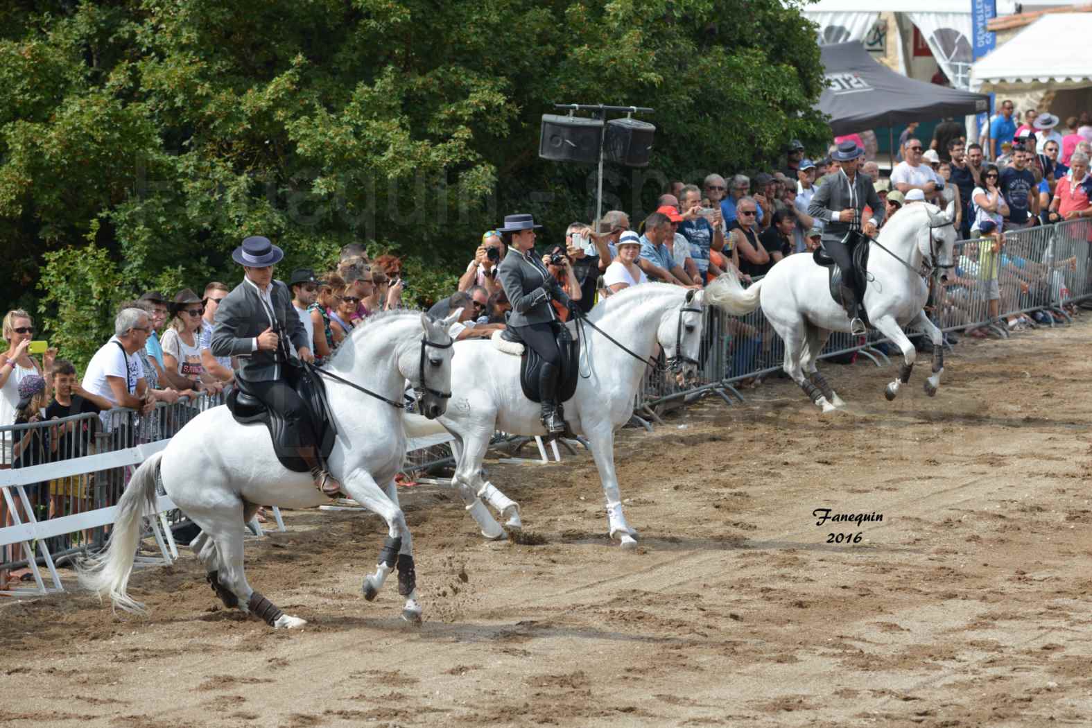 Spectacle équestre le 4 Septembre 2016 au Domaine de GAILLAC - Démonstration de CARROUSEL de chevaux LUSITANIENS - 08