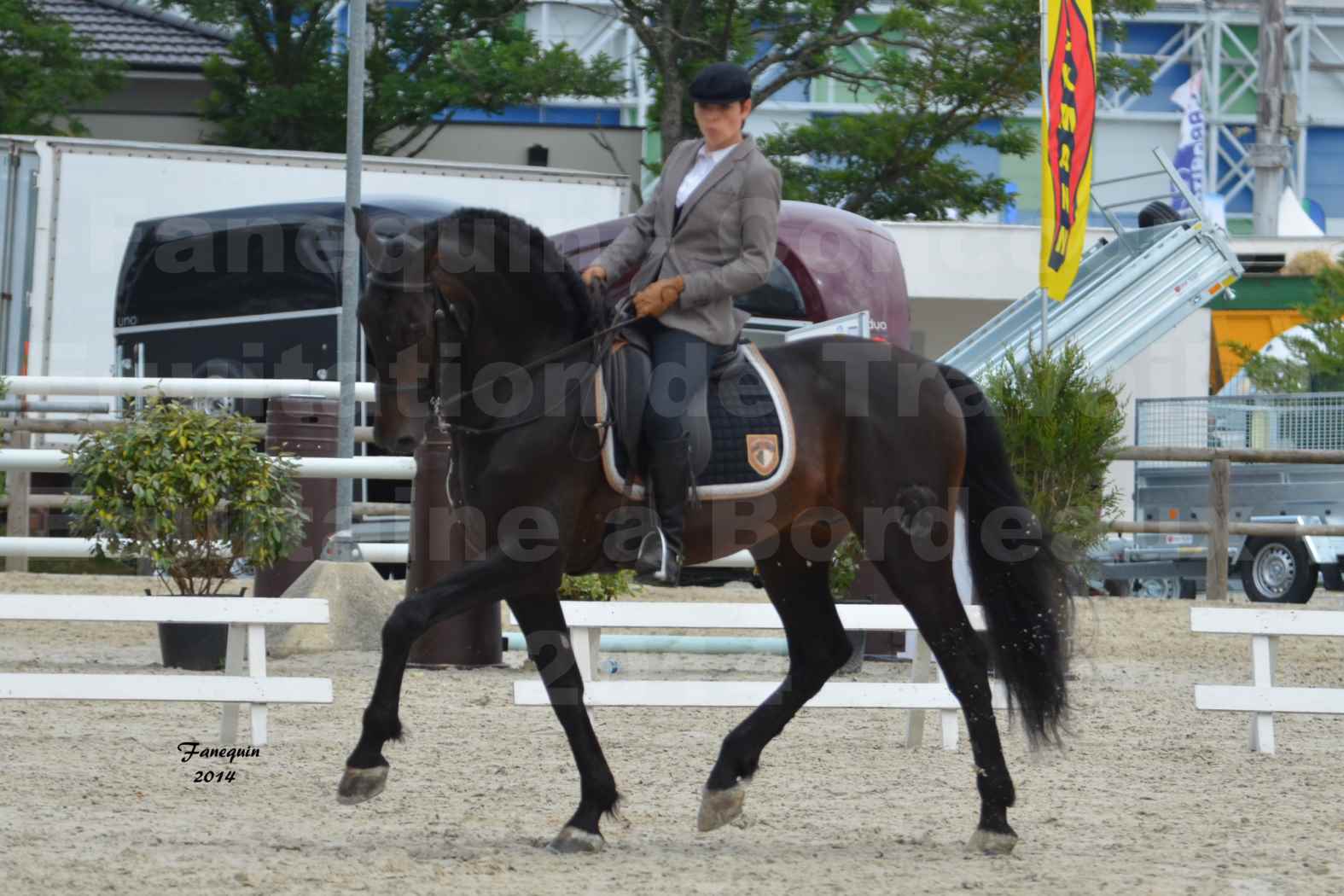 Salon Equitaine de Bordeaux en 2014 - concours Equitation de travail - Épreuve de Dressage - 03