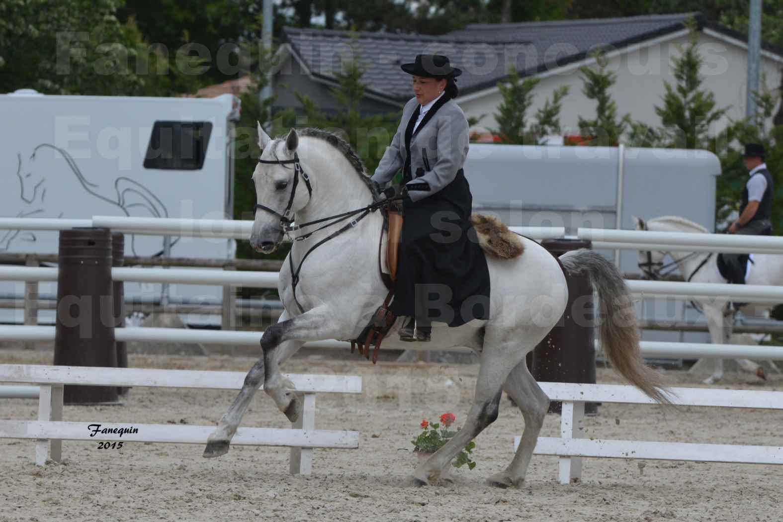 Salon Equitaine de Bordeaux 2015 - Concours d'Equitation de Travail avec chevaux Ibériques - V - 11