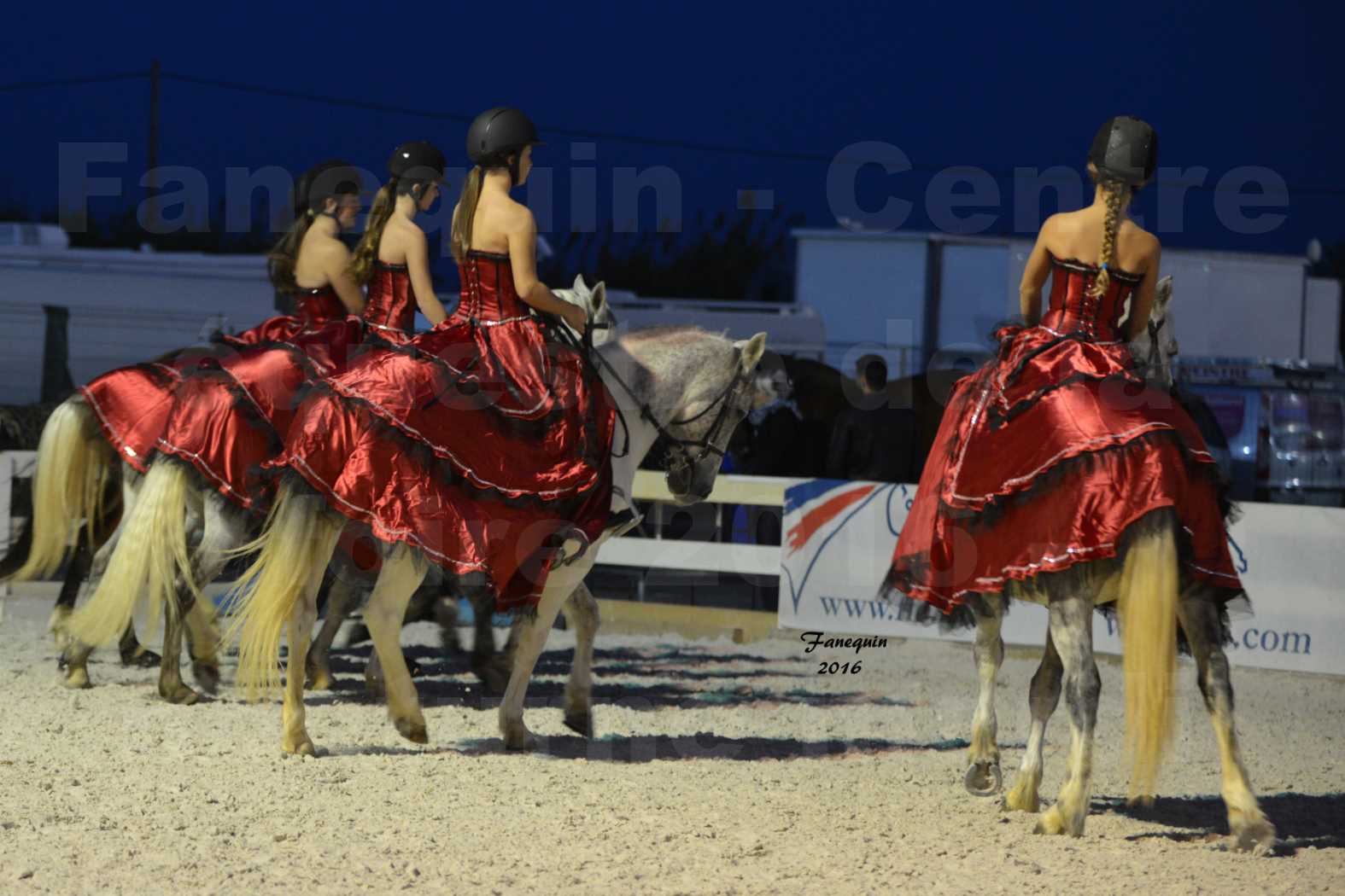 Centre équestre éphémère de la Foire de Montpellier 2016 - Mardi 11 Octobre 2016 - Spectacle Nocturne - 33
