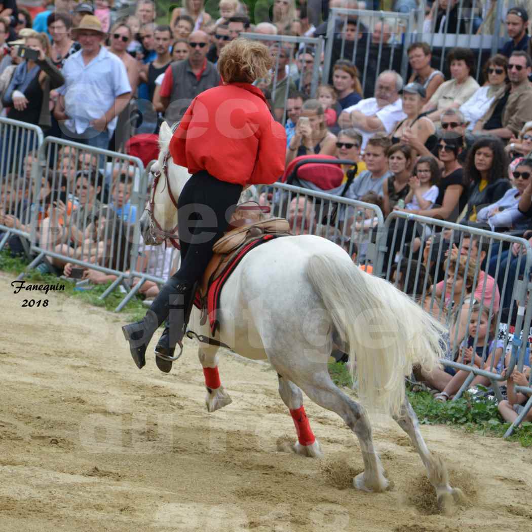 Spectacle Équestre le 3 juin 2018 à Saint Gély du Fesc - Voltige équestre - Troupe de Jean Antoine FIRMIN - 07